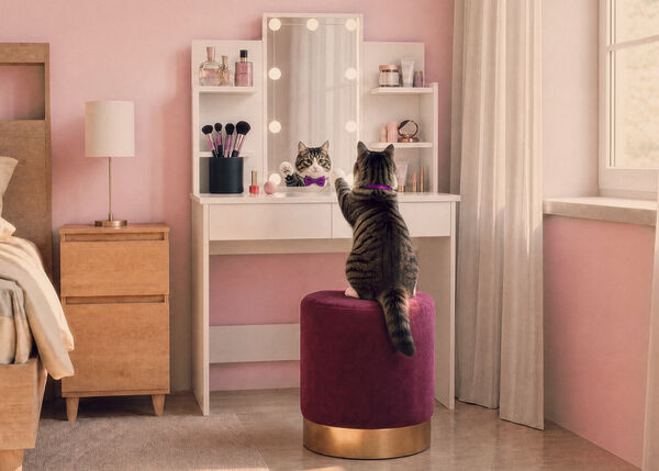 Gato sentado a um toucador com prateleiras de arruma&ccedil;&atilde;o num quarto cor-de-rosa.