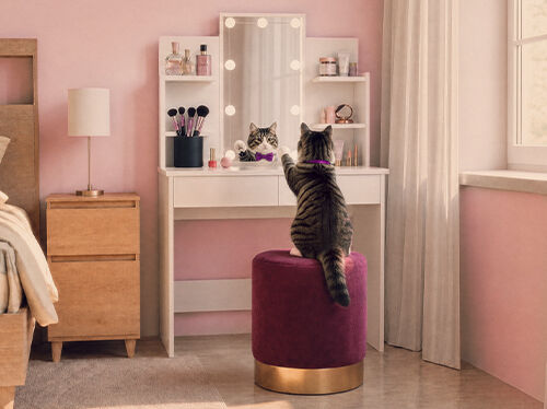 Gato sentado a um toucador com prateleiras de arruma&ccedil;&atilde;o num quarto cor-de-rosa.