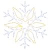 Warm_white_and_cold_white