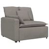 vidaXL M&oacute;dulo de extremidade de apoio de bra&ccedil;o para sof&aacute; modular com almofadas, cor taupe, 100 cm