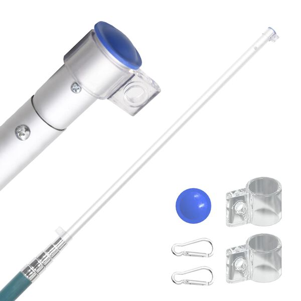 vidaXL Bandeira da Bulg&aacute;ria e mastro 5,55 m alum&iacute;nio