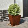 vidaXL Garden Planter 30x30x30 cm a&ccedil;o resistente &agrave;s intemp&eacute;ries