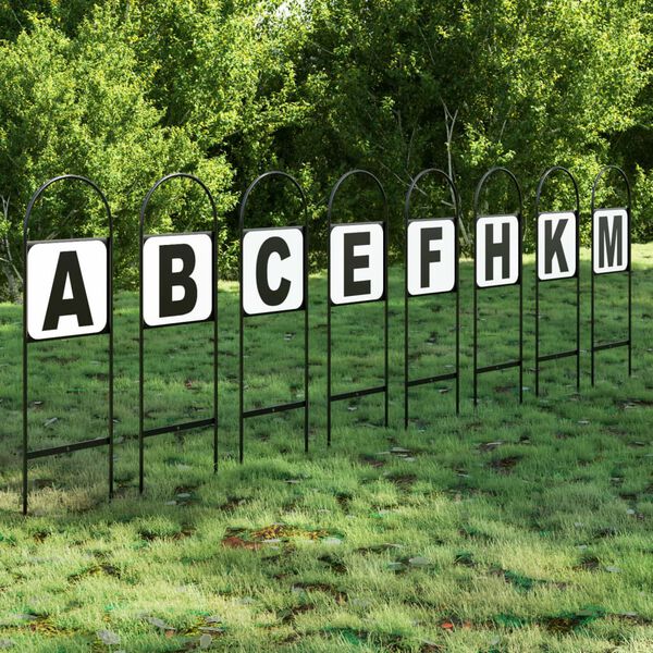 vidaXL Marcadores de adestramento 8 pcs aço