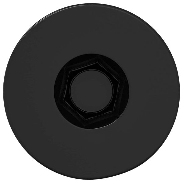 vidaXL Parafuso de Cabe&ccedil;a de Tampa Socket 2 pcs Preto M5 x 40 mm Ferro