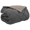 vidaXL Edredom de Inverno 200 x 240 cm 450 gsm