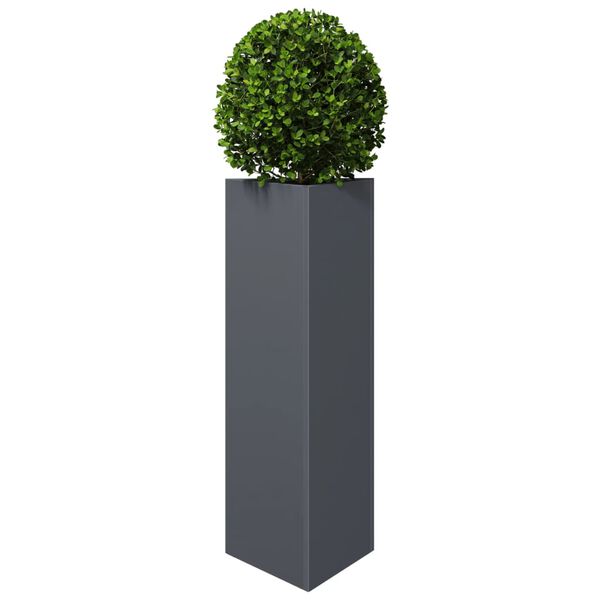 A apresentar a imagem do produto 4 de 12