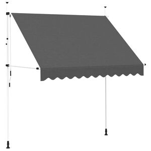 vidaXL Toldo retr&aacute;til manual 250 cm antracite
