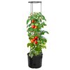 vidaXL Vaso p/ cultivo de tomate &Oslash;39x150 cm polipropileno antracite