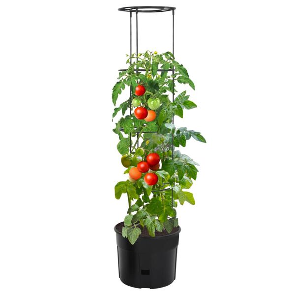 vidaXL Vaso p/ cultivo de tomate &Oslash;39x150 cm polipropileno antracite