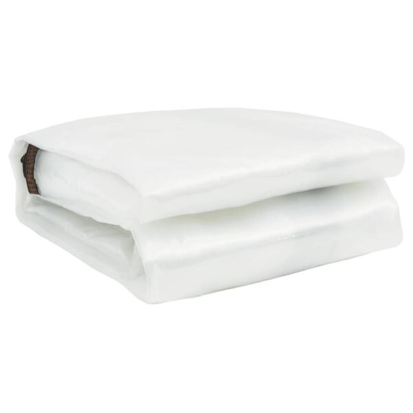 vidaXL Encerado transparente com ilh&oacute;s 6x8 m Polietileno