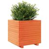 vidaXL Vaso/floreira de jardim 50x50x49,5 cm pinho maci&ccedil;o castanho mel