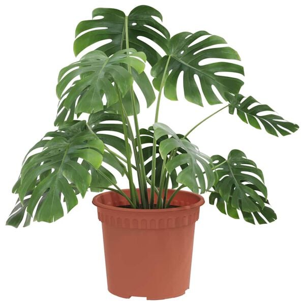 vidaXL Vaso Redondo para Flores 6 pcs Vermelho Tijolo &Oslash; 12,5 x 10 cm