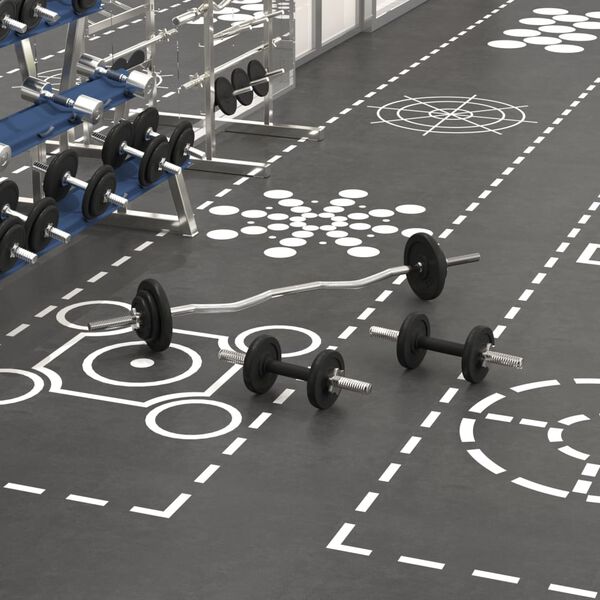 vidaXL Conjunto de barra e halteres 30 Kg ferro fundido