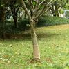 Imagem em miniatura do produto 2 de 7