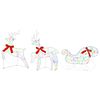 vidaXL Rena de Natal com tren&oacute; 3 unid. 60 LED Multicolorido