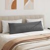 vidaXL Travesseiros de Sofá 2 pcs Cinza Escuro 145 x 40 cm tecido