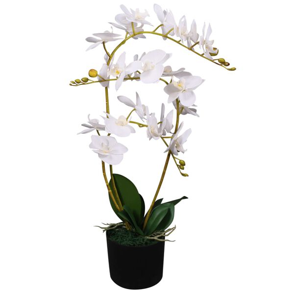 A apresentar a imagem do produto 1 de 2
