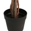 Imagem em miniatura do produto 3 de 5