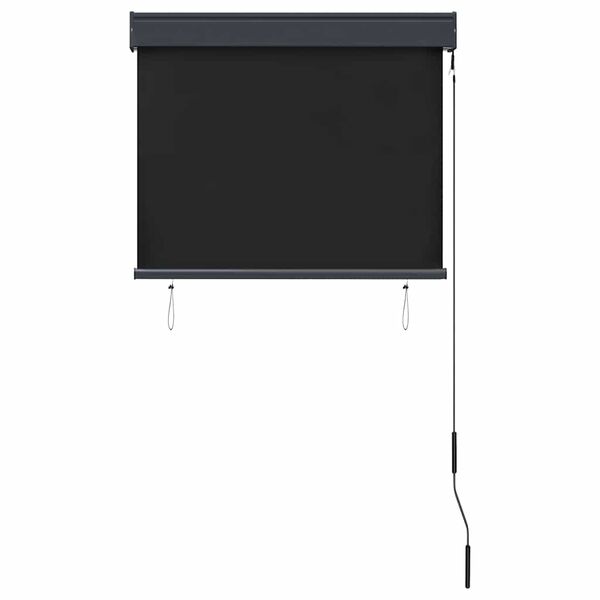 vidaXL Estore de rolo para exterior 80x250 cm antracite