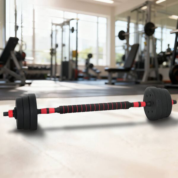 vidaXL Conjunto de Halteres 2 em 1 Preto e Vermelho