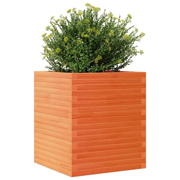 vidaXL Vaso/floreira de jardim 60x60x68,5 cm pinho maci&ccedil;o castanho mel