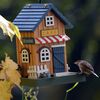 Imagem em miniatura do produto 5 de 6