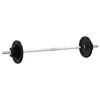 vidaXL Barra com discos 60 kg ferro fundido