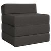 vidaXL Sof&aacute; Cama Dobr&aacute;vel Cinzento-Escuro 200 x 70 x 10 cm Tecido