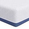 vidaXL Colch&atilde;o M&eacute;dio firme 120 x 200 cm Branco e Azul