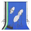 vidaXL Kit de est&uacute;dio fotogr&aacute;fico com fundo e conjunto de ilumina&ccedil;&atilde;o