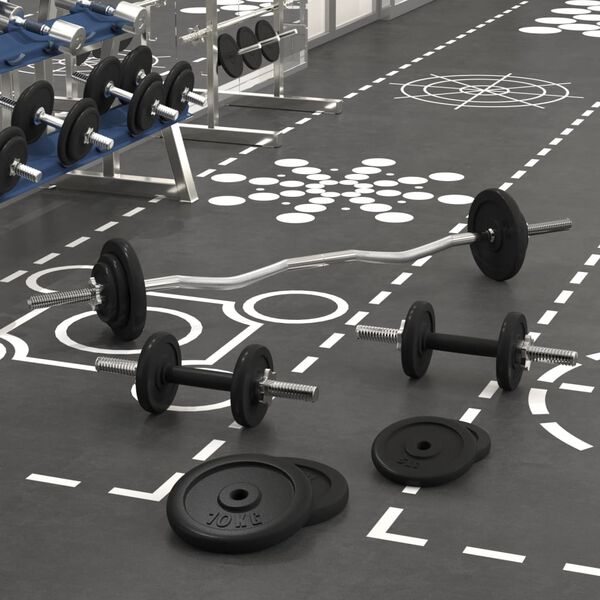 vidaXL Barras e halteres com discos 60 kg ferro fundido