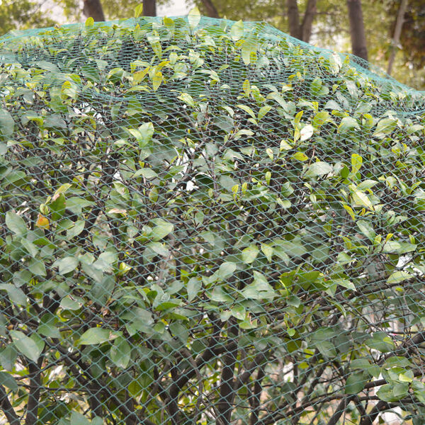 vidaXL Redes anti-pássaros 2 pcs 8x14 m PE