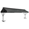 vidaXL Toldo de p&eacute; 600x300 cm antracite
