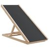vidaXL Rampa para c&atilde;es 100x40 cm madeira de abeto maci&ccedil;a cinzento