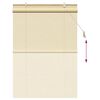 vidaXL Estores de rolo com cortinas Manual Natura 100 x 160 cm Bambu