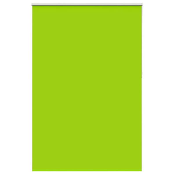 vidaXL Persiana de enrolar 165x210 cm largura tecido 161,6cm poli&eacute;ster