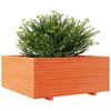 vidaXL Vaso/floreira jardim 110x110x49,5 cm pinho maci&ccedil;o castanho mel