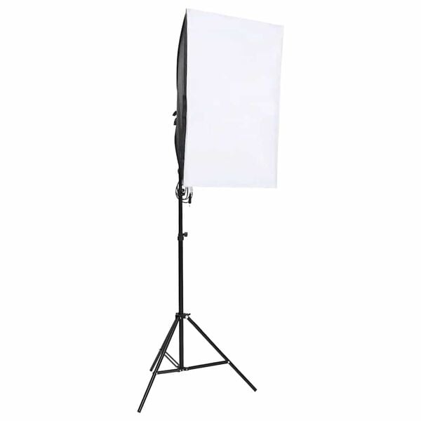 vidaXL Ilumina&ccedil;&atilde;o de est&uacute;dio profissional 2 pcs 40x60 cm