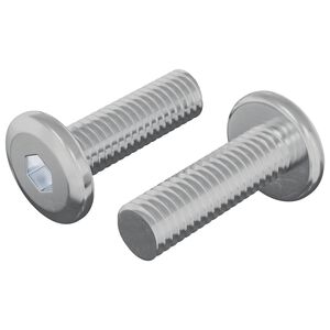 vidaXL Parafuso 2 pcs Prateado 8 x 25 mm A&ccedil;o