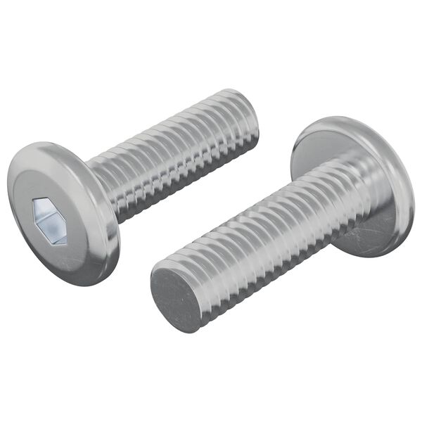 vidaXL Parafuso 2 pcs Prateado 8 x 25 mm A&ccedil;o