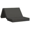 vidaXL Sof&aacute; Cama Dobr&aacute;vel 100 x 67 x 45 cm Cinzento-Escuro