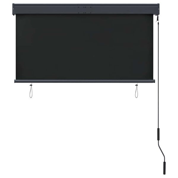 vidaXL Estore de rolo para exterior 120x250 cm antracite