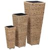 vidaXL Vasos/floreiras 3 pcs jacinto de &aacute;gua castanho