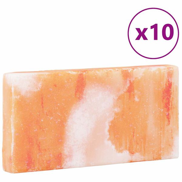vidaXL Pedras de Sal 10 pcs Rosa 20 x 2,5 x 10 cm Sal de Rocha