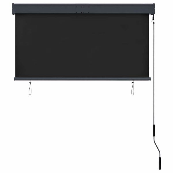 vidaXL Estore de rolo para exterior 120x250 cm antracite