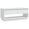 vidaXL M&oacute;vel de TV 102x41x44 cm derivados de madeira branco