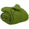 vidaXL Edredom de Inverno 240 x 260 cm 450 gsm Verde