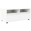 vidaXL Gabinete para TV 100 x 48 x 43 cm Branco Derivados de Madeira