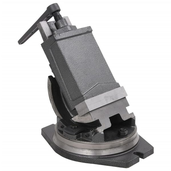 vidaXL Torno de bancada inclin&aacute;vel de 2 eixos 160 mm