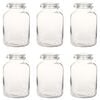 vidaXL Frascos de vidro para compotas com fechos 6 pcs 5 L